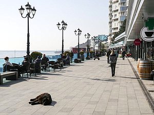 Ялта, набережная. отдых, Крым, туристы, собака