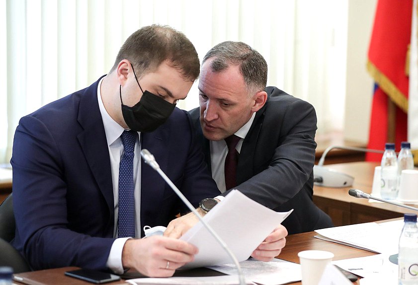 Совместное заседание экспертных советов по развитию промышленной инфраструктуры и по развитию электронной и радиоэлектронной промышленности при Комитете по промышленности и торговле