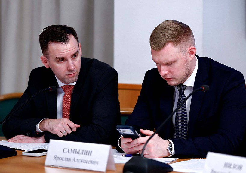 Председатель Комитета по малому и среднему предпринимательству Александр Демин и член Комитета по промышленности и торговле Ярослав Самылин