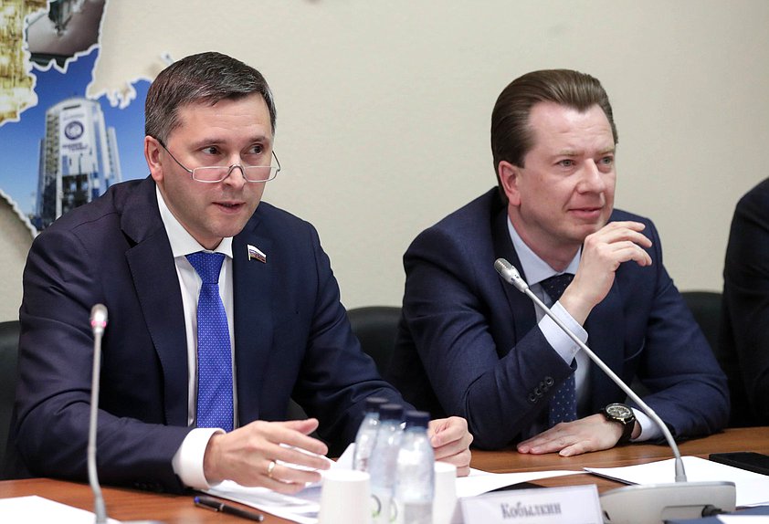 Председатель Комитета по экологии, природным ресурсам и охране окружающей среды Дмитрий Кобылкин и Первый заместитель Председателя Комитета Владимир Бурматов