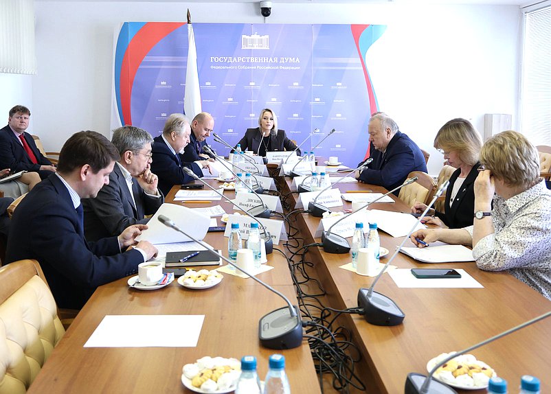 Заседание Комитета по развитию гражданского общества, вопросам общественных и религиозных объединений