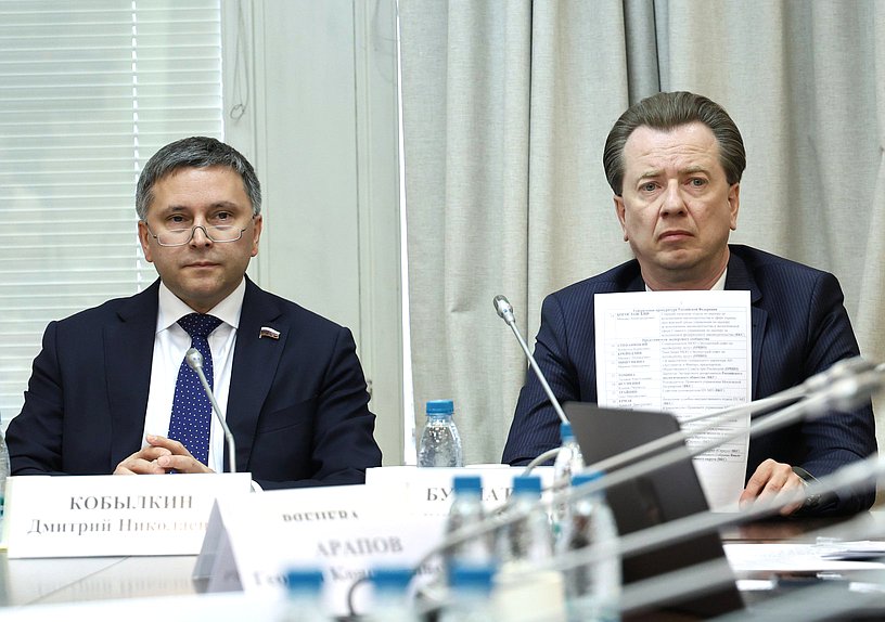 Председатель Комитета по экологии, природным ресурсам и охране окружающей среды Дмитрий Кобылкин и Первый заместитель Председателя Комитета Владимир Бурматов
