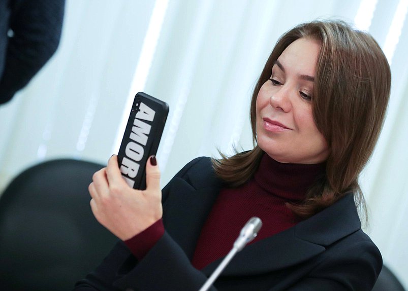 Заместитель Председателя Комитета по экономической политике, промышленности, инновационному развитию и предпринимательству Альфия Когогина