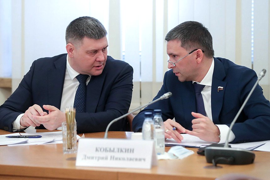 Заместитель Министра природных ресурсов и экологии РФ Дмитрий Тетенькин и Председатель Комитета по экологии, природным ресурсам и охране окружающей среды Дмитрий Кобылкин