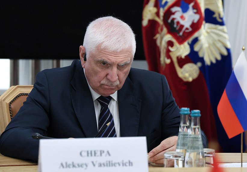Первый заместитель Председателя Комитета по международным делам Алексей Чепа