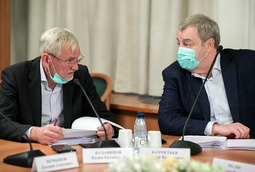 Члены Комитета по строительству и жилищно-коммунальному хозяйству Вадим Булавинов и Виталий Бахметьев