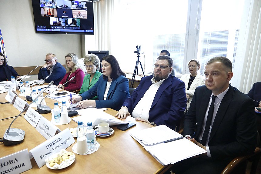 Заседание Комитета по защите семьи, вопросам отцовства, материнства и детства