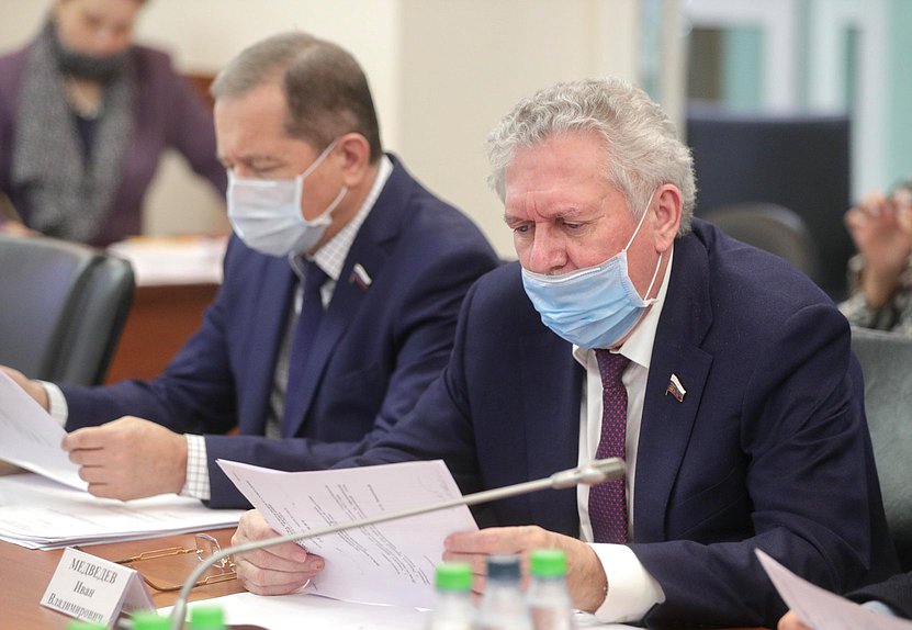 Член Комитета по энергетике Иван Медведев