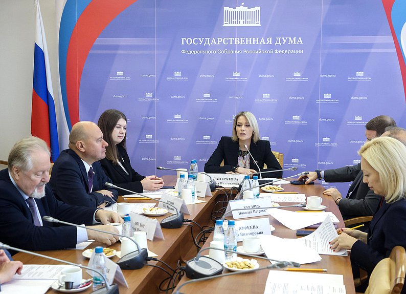 Заседание Комитета по развитию гражданского общества, вопросам общественных и религиозных объединений