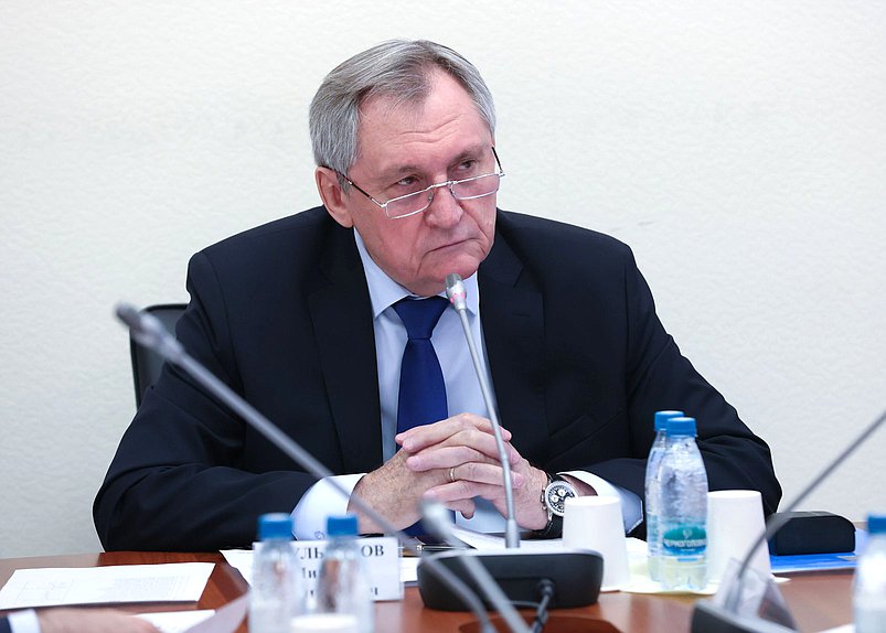 Председатель Комитета по энергетике Николай Шульгинов