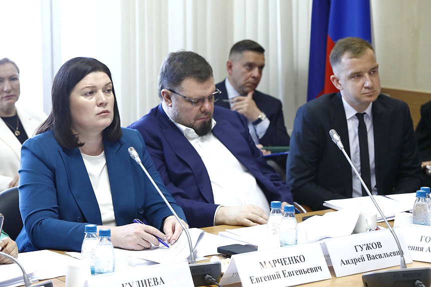 Заседание Комитета по защите семьи, вопросам отцовства, материнства и детства
