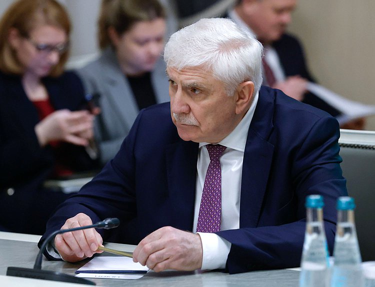 Первый заместитель Председателя Комитета по международным делам Алексей Чепа