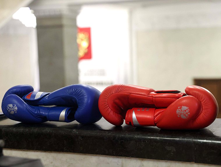 бокс перчатки боксер спорт