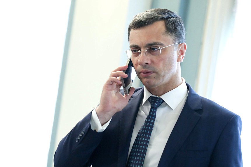 Первый заместитель Председателя Комитета по экономической политике, промышленности, инновационному развитию и предпринимательству Владимир Гутенев