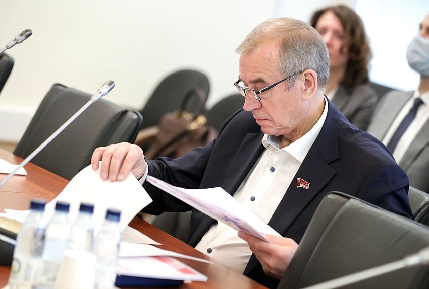 Первый заместитель Председателя Комитета по энергетике Сергей Левченко
