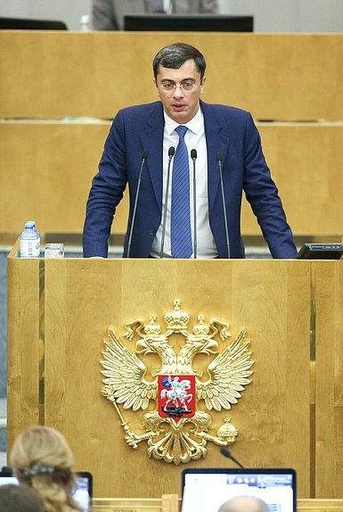 Первый заместитель Председателя Комитета по экономической политике, промышленности, инновационному развитию и предпринимательству Владимир Гутенев
