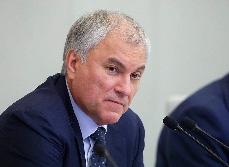 Председатель Государственной Думы Вячеслав Володин