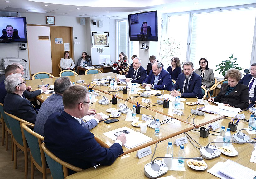 Заседание Комитета по развитию Дальнего Востока и Арктики