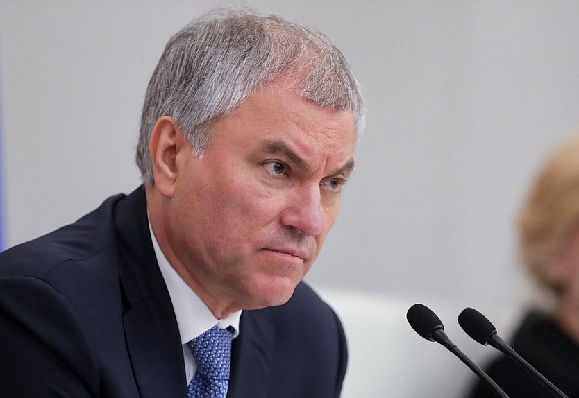 Председатель Государственной Думы Вячеслав Володин