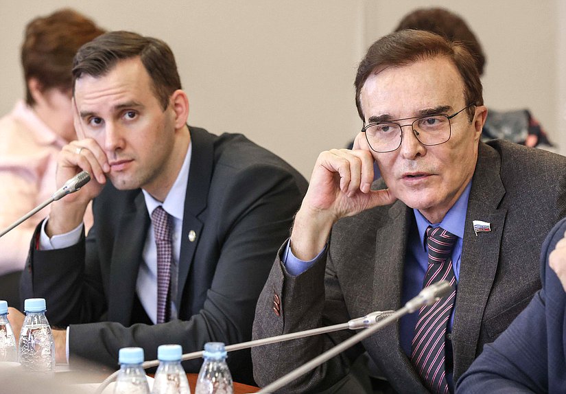 Председатель Комитета по малому и среднему предпринимательству Александр Демин и член Комитета по экономической политике Александр Максимов