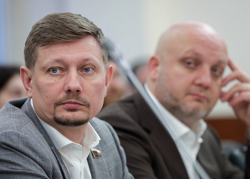 Заместитель Председателя Комитета по энергетике Владимир Плякин