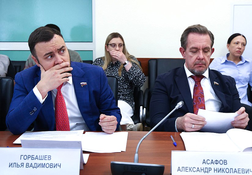 Члены Комитета по науке и высшему образованию Илья Горбашев и Александр Асафов