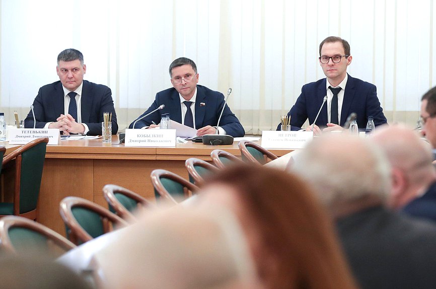 Заместитель Министра природных ресурсов и экологии РФ Дмитрий Тетенькин, Председатель Комитета по экологии, природным ресурсам и охране окружающей среды Дмитрий Кобылкин и руководитель Федерального агентства по недропользованию Евгений Петров