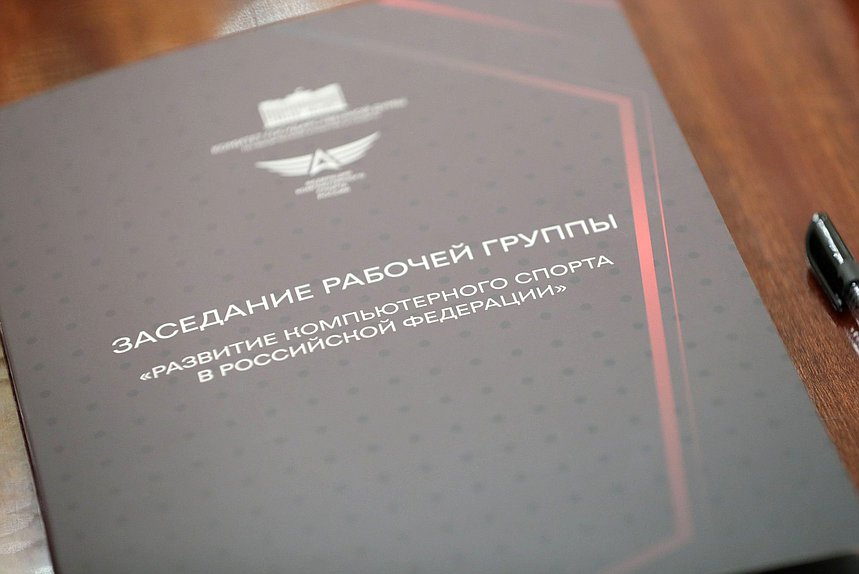 Заседание рабочей группы «Развитие компьютерного спорта в РФ» Комитета по физической культуре и спорту