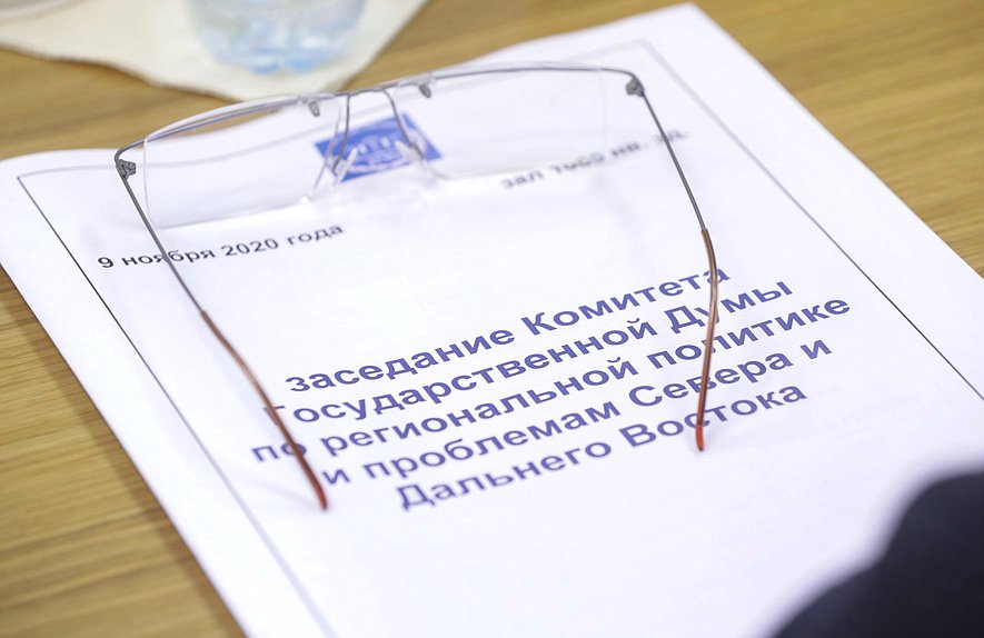 Заседания профильных Комитетов Государственной Думы, посвященные утверждению кандидатур в члены Правительства РФ