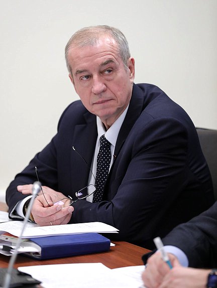 Первый заместитель Председателя Комитета по энергетике Сергей Левченко