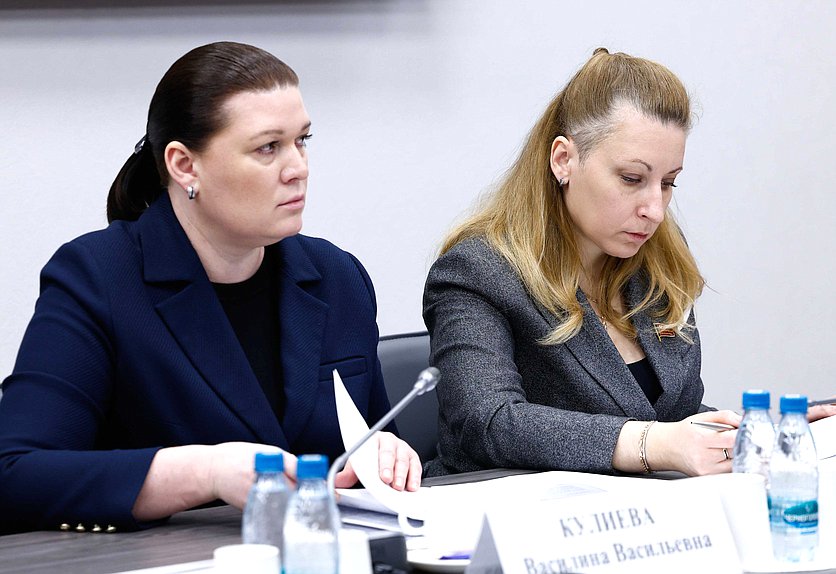 Член Комитета по защите семьи, вопросам отцовства, материнства и детства Василина Кулиева и заместитель Председателя Комитета Мария Дробот