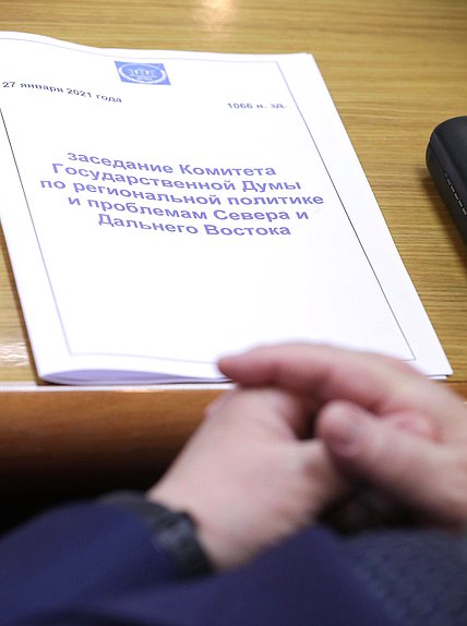 Комитет по региональной политике и проблемам Севера и Дальнего Востока нейтральное