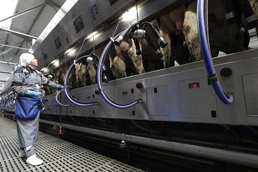 сельское хозяйство молоко доярка село