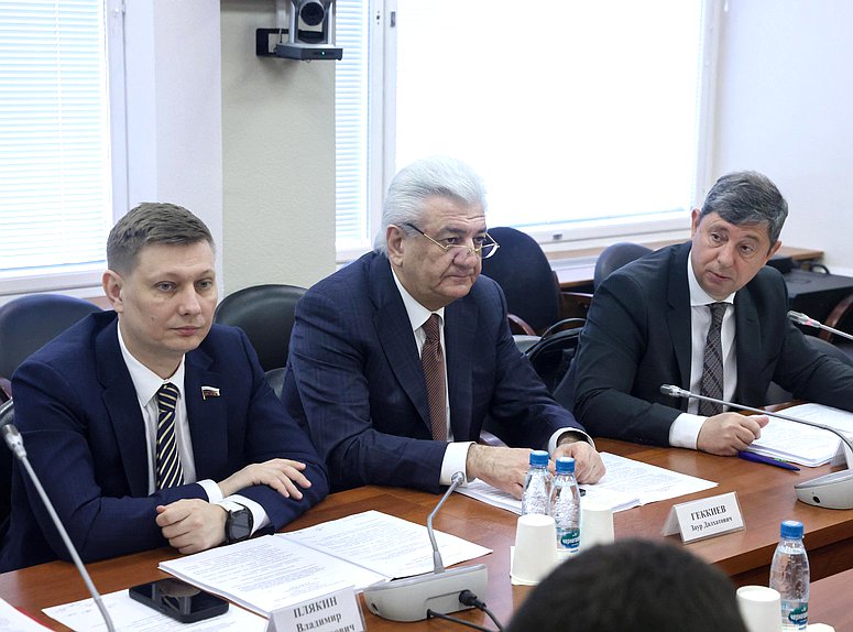 Заместитель Председателя Комитета по энергетике Владимир Плякин и член Комитета Заур Геккиев