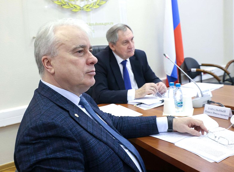 Первый заместитель Председателя Комитета по энергетике Павел Завальный