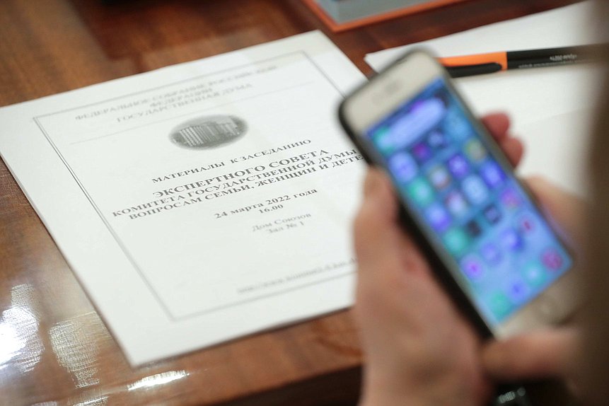 Заседание экспертного совета Комитета по вопросам семьи, женщин и детей