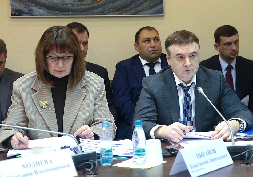 Заседание Комитета по экологии, природным ресурсам и охране окружающей среды с участием Министра природных ресурсов и экологии РФ Александра Козлова