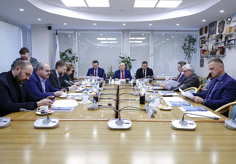 Заседание Комитета по развитию Дальнего Востока и Арктики