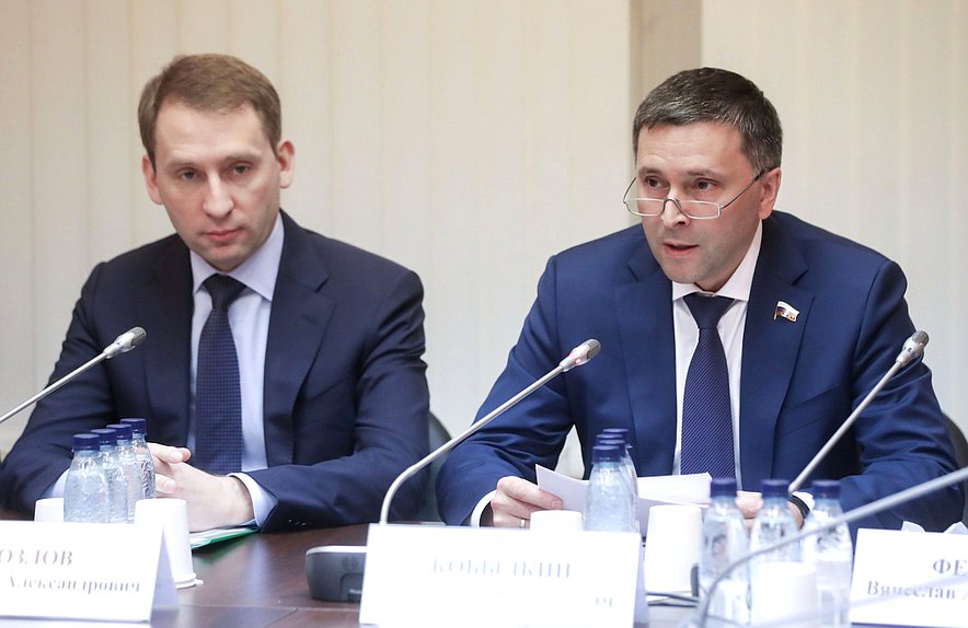Министр природных ресурсов и экологии РФ Александр Козлов и Председатель Комитета по экологии, природным ресурсам и охране окружающей среды Дмитрий Кобылкин