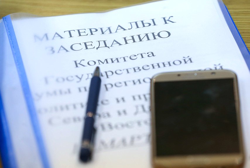 Заседание Комитета по региональной политике и проблемам Севера и Дальнего Востока