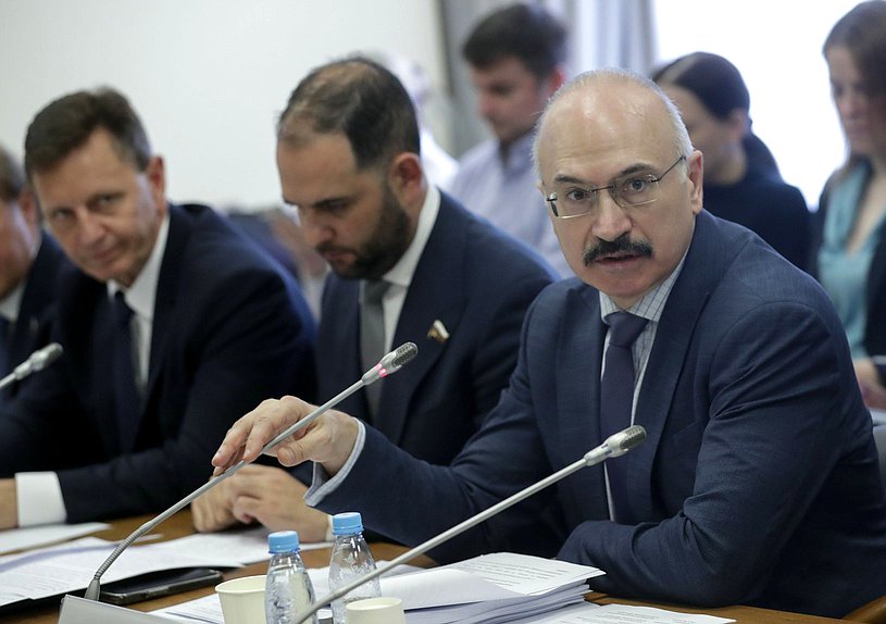 Председатель Комитета по науке и высшему образованию Сергей Кабышев