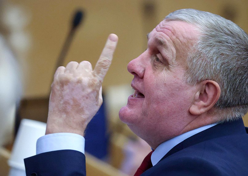 Первый заместитель Председателя Комитета по труду, социальной политике и делам ветеранов Николай Коломейцев