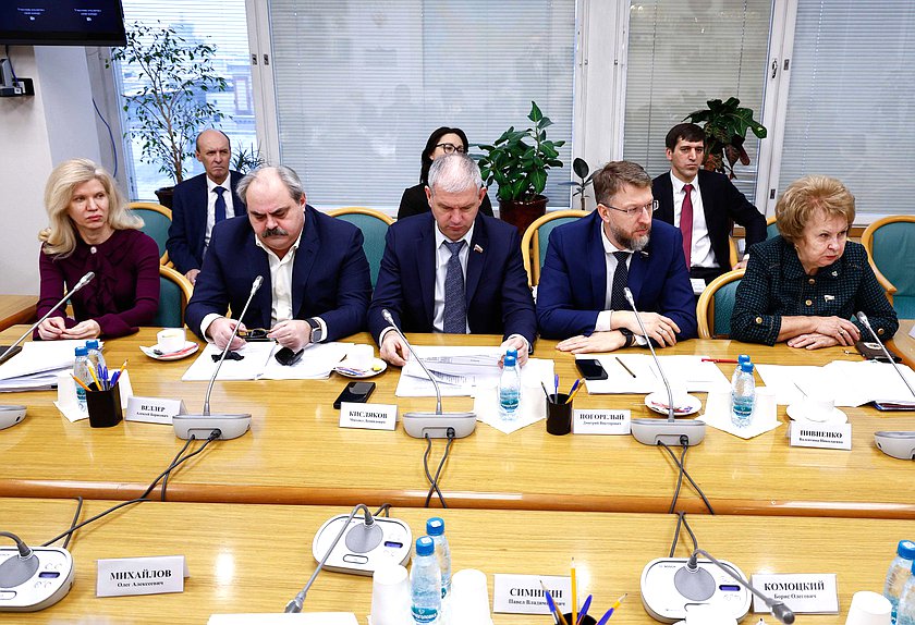 Заседание Комитета по развитию Дальнего Востока и Арктики