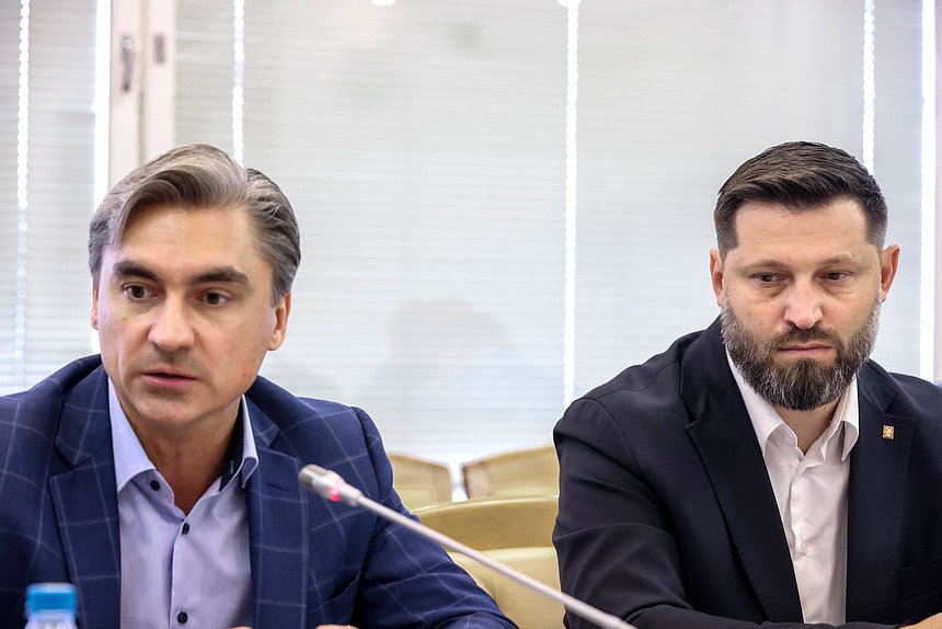 Заместитель Председателя Комитета по информационной политике, информационным технологиям и связи Андрей Свинцов (слева)