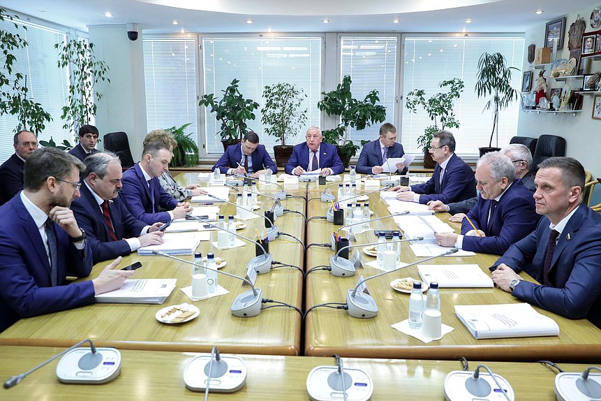 Заседание Комитета по развитию Дальнего Востока и Арктики