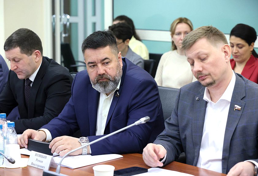 Член Комитета по энергетике Роман Птицын и заместитель Председателя Комитета Владимир Плякин