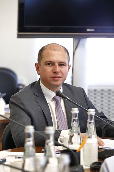 Член Комитета по культуре Михаил Романов