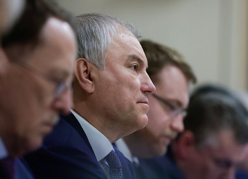 Председатель Государственной Думы Вячеслав Володин