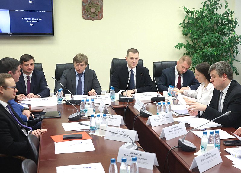 Заседание Комитета по молодежной политике с участием главы Федерального агентства по делам молодежи Григория Гурова