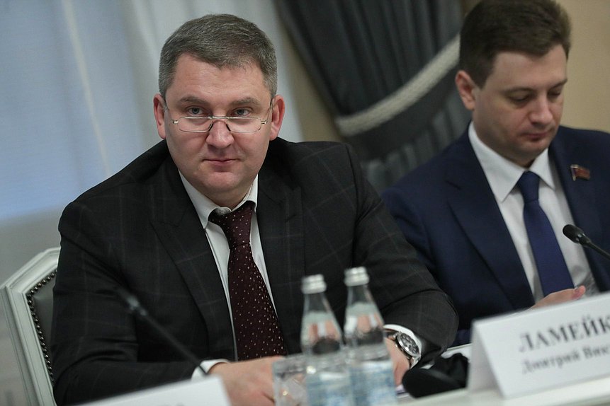 Заместитель Председателя Комитета по контролю Дмитрий Ламейкин